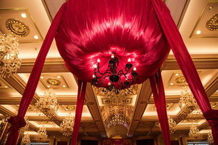 专业服务，贴心陪伴——记广州罗亚婚礼的卓越策划体验